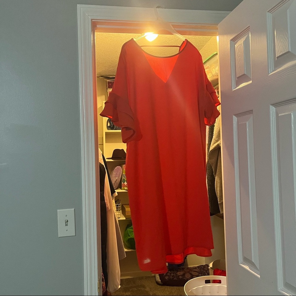 Ruffle Sleeve Dress